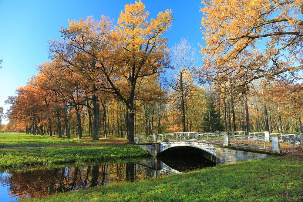 Photograph by Николай Бакулин