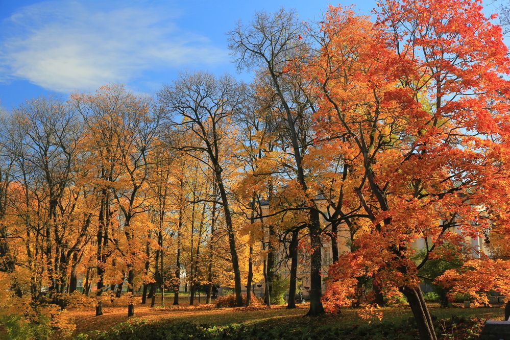 Photograph by Николай Бакулин