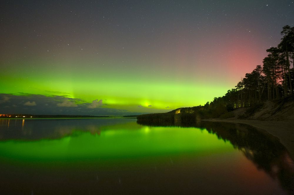 Фотография автора Elvijs Kalnins