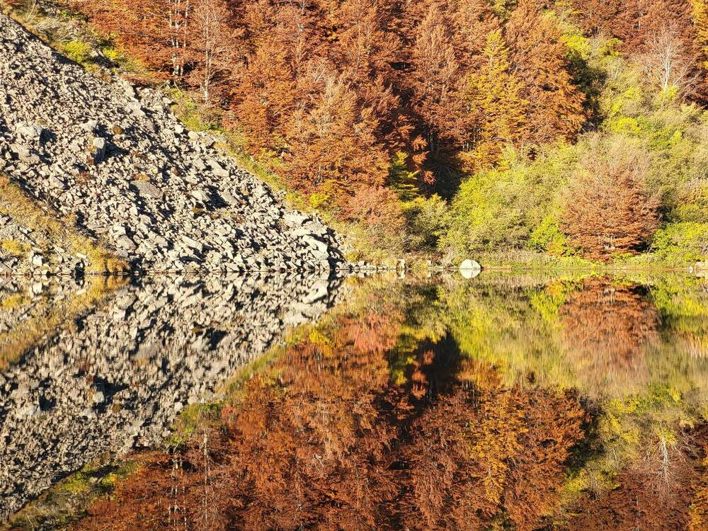 Photograph by ANDREA NIGRA