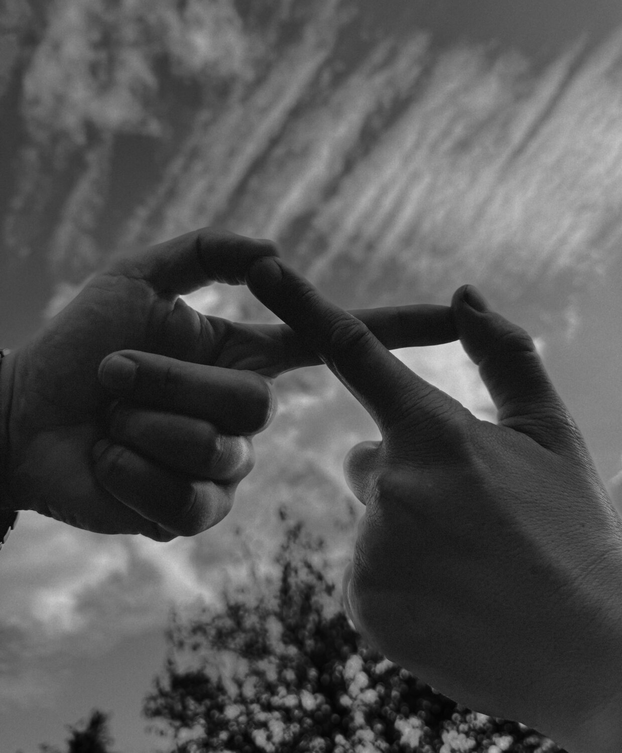 Photo #12725727