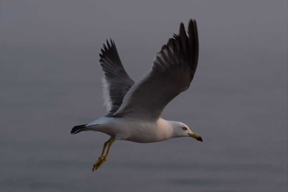 Photograph by Artur Smyrnov