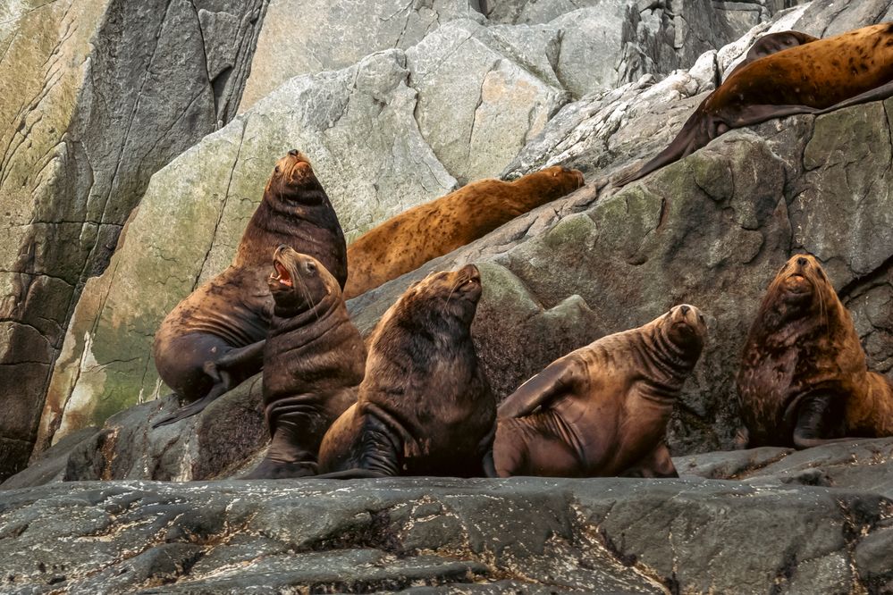 Фотография автора Lyudmila Yakovleva