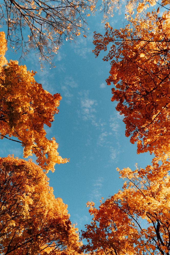Photograph by Aliaksandra Babko