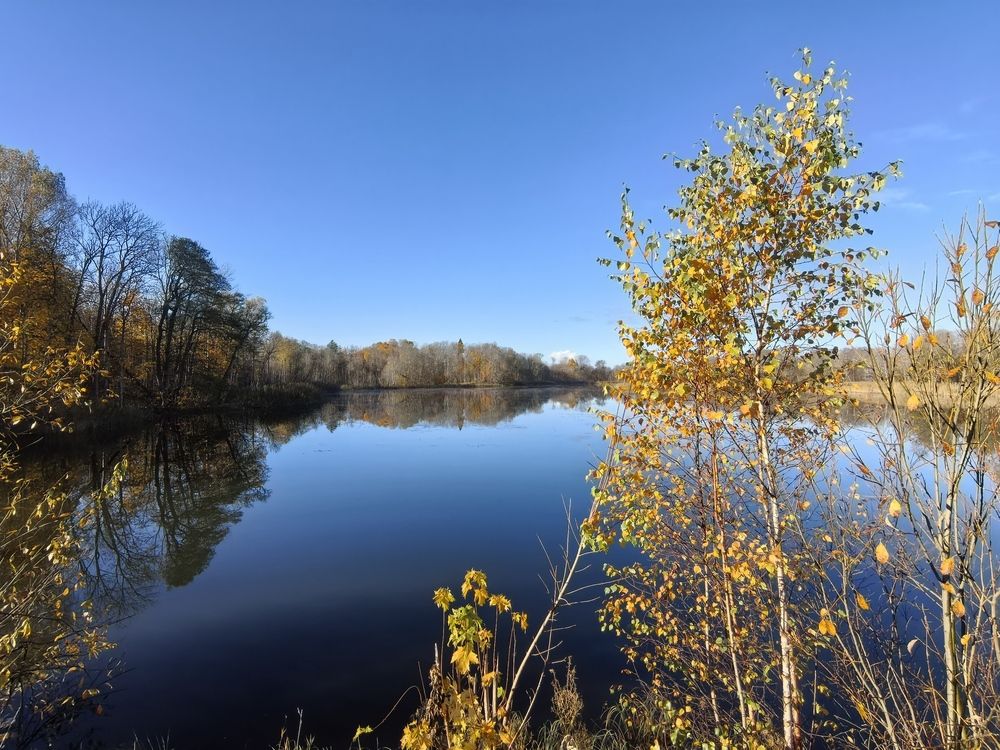 Photograph by Olga Kot