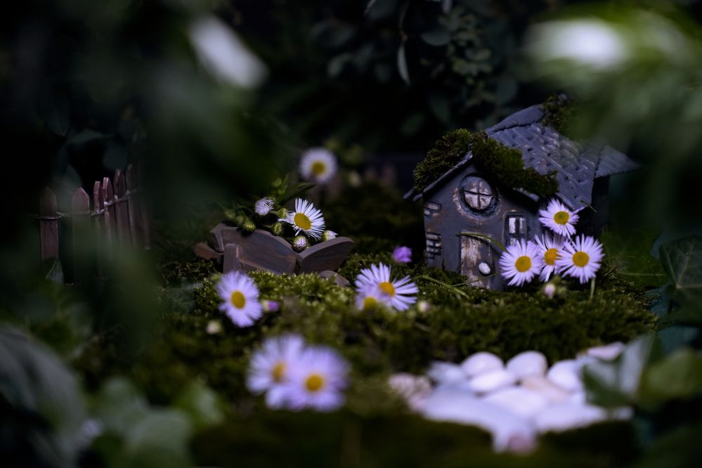 Photograph by Анна Штабель