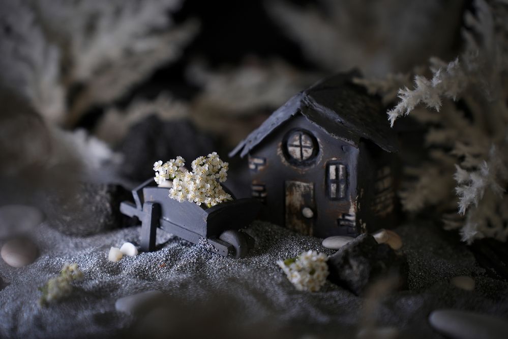 Photograph by Анна Штабель