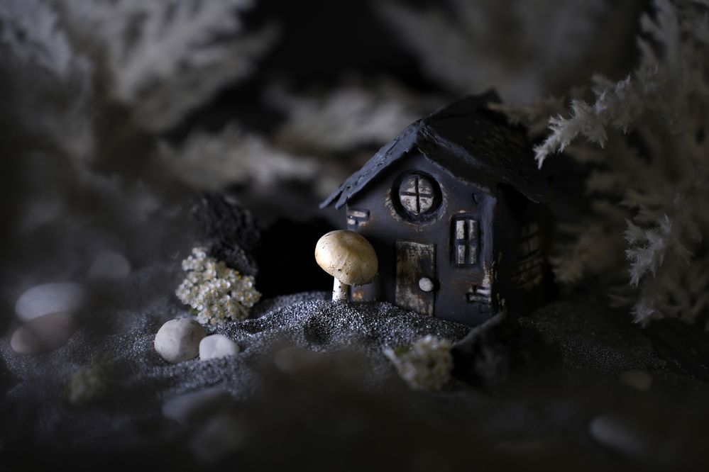 Photograph by Анна Штабель