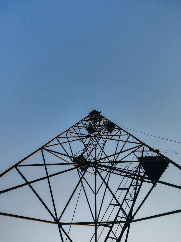 Фотография автора Алиса Исаева