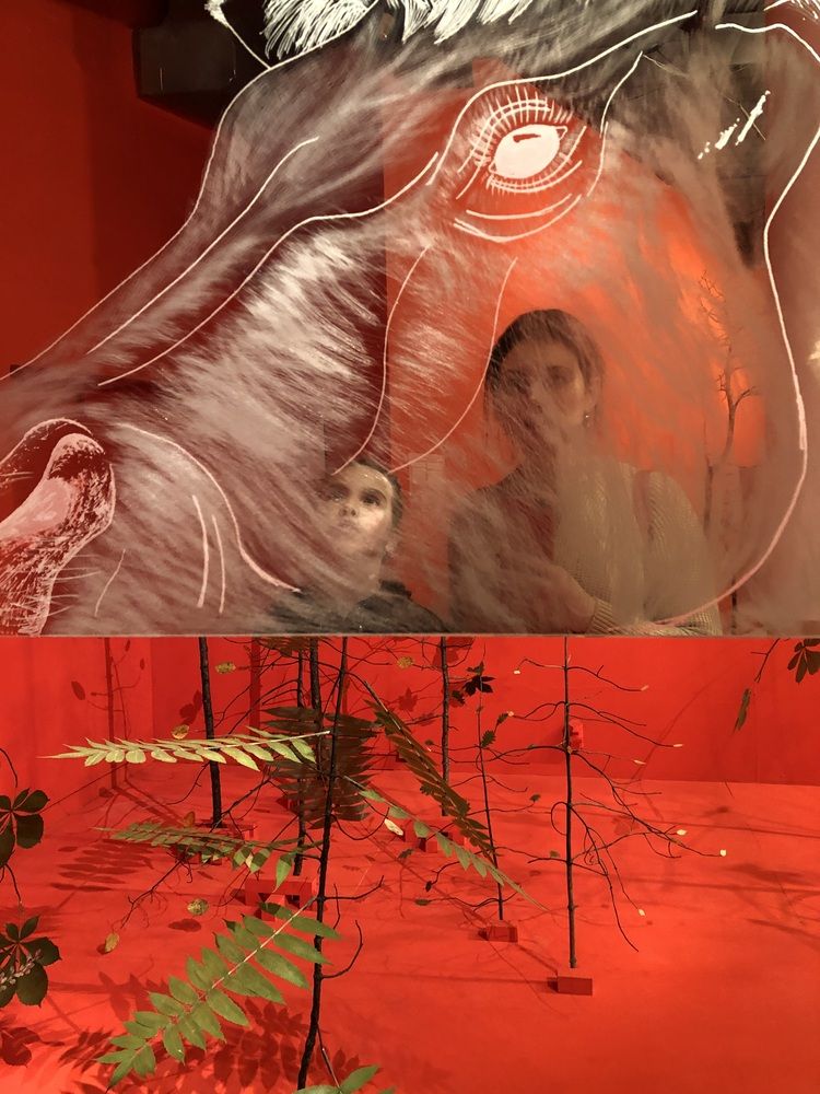 Photograph by Анастасия Конина