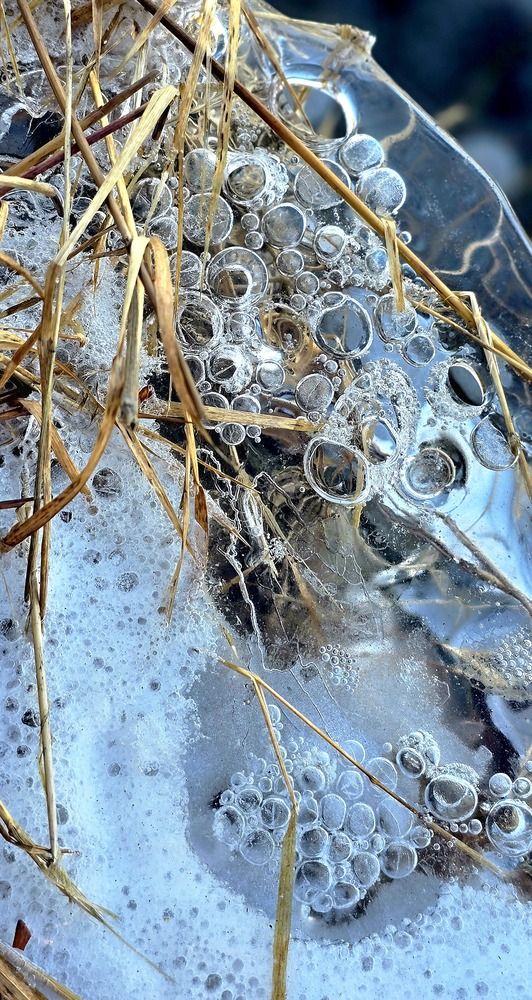 Photograph by Лариса Ким