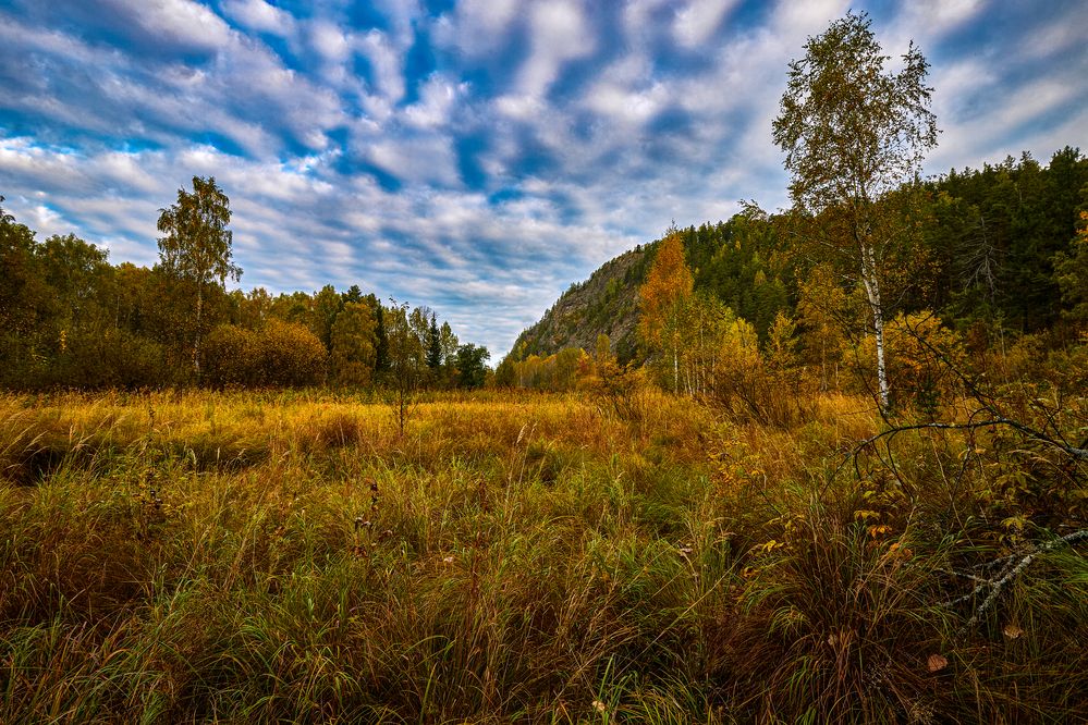 Утро жёлтого сентября.
