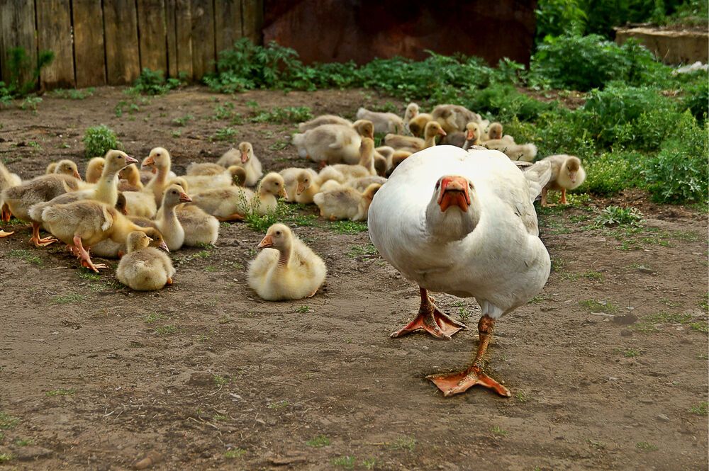 Photograph by Мишустина Татьяна