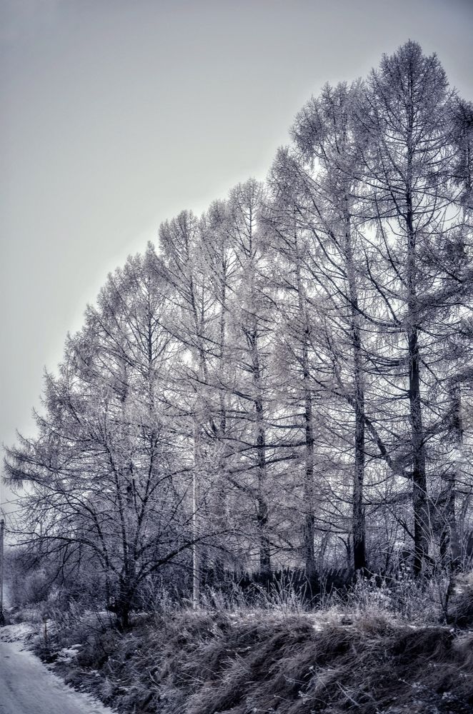 Photograph by Зыкова Мария