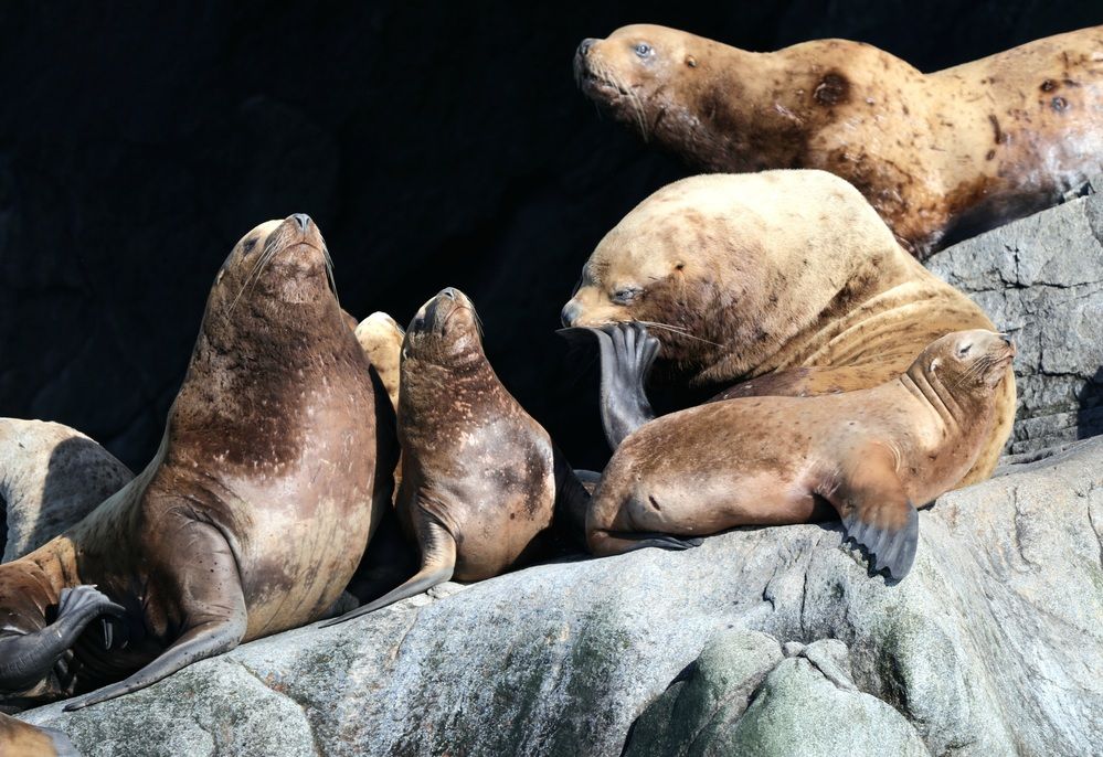 Photograph by Лариса Ким