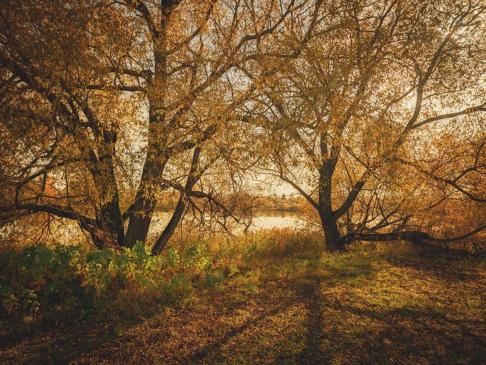 Photograph by Кирилл Сидоров
