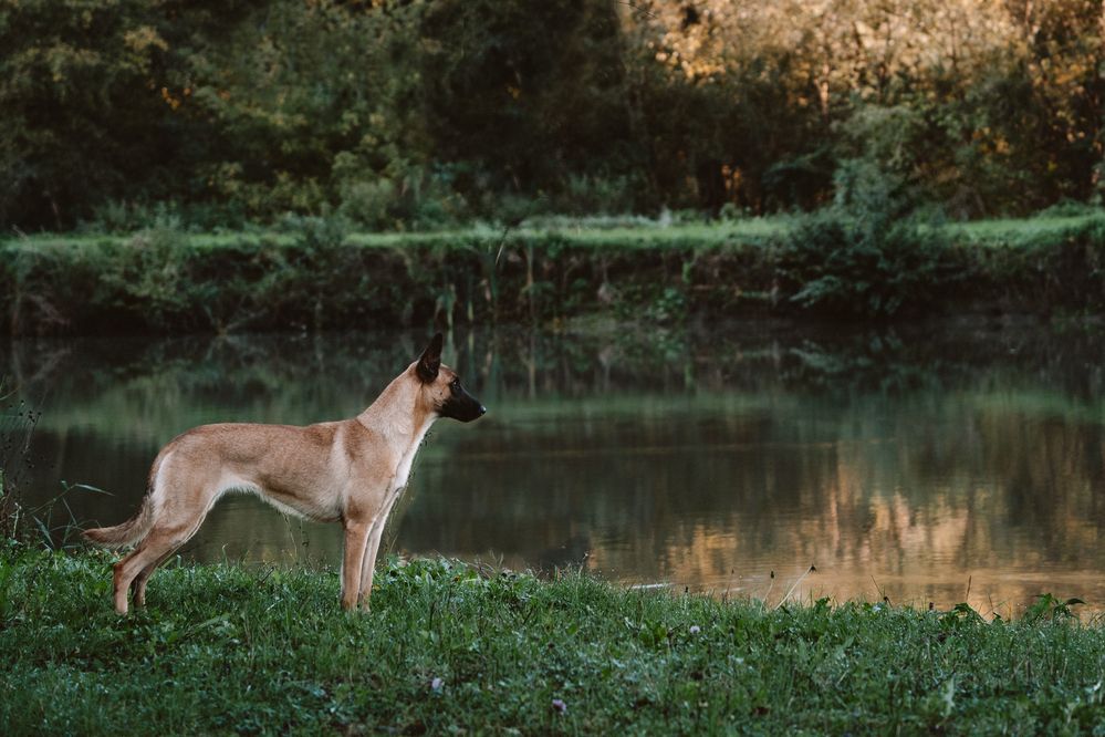 Фотография автора Viktória Bertha