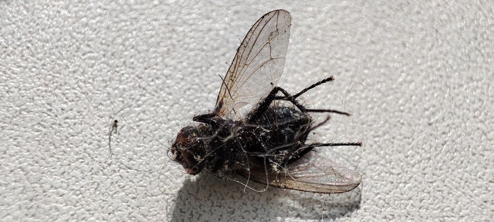 Photograph by Милена Полтавец