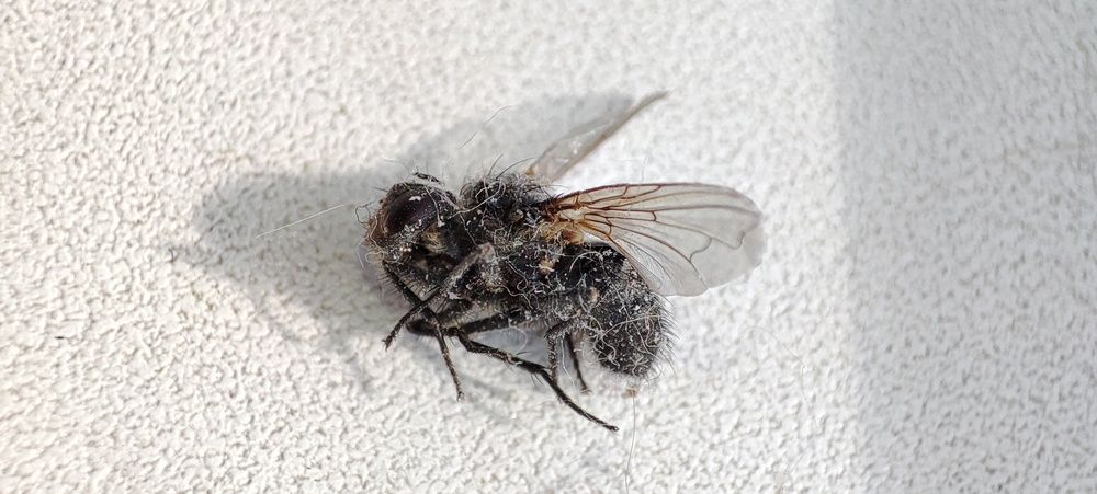 Photograph by Милена Полтавец