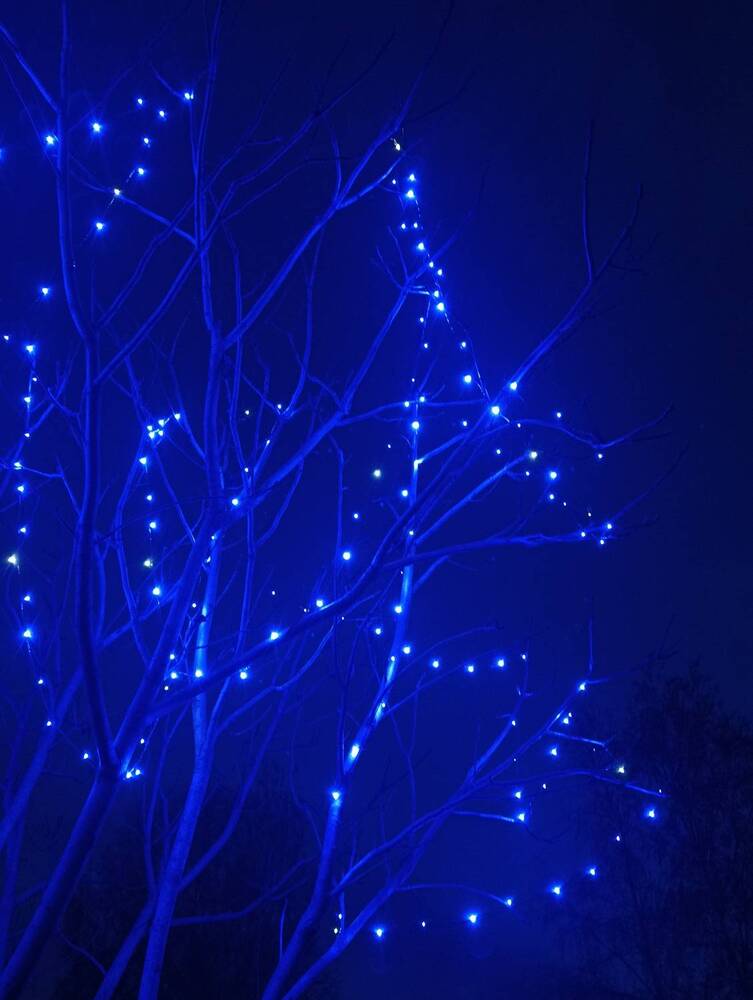 Photograph by Ольга Пилявская