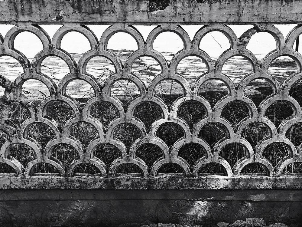 Фотография автора Юлия Сурина