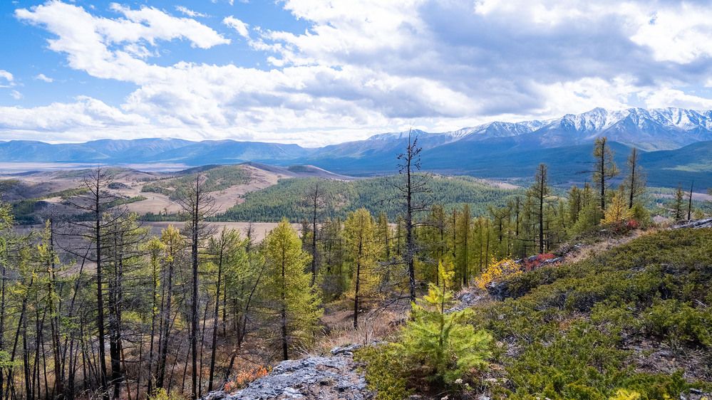 Photograph by Владимир Коровин