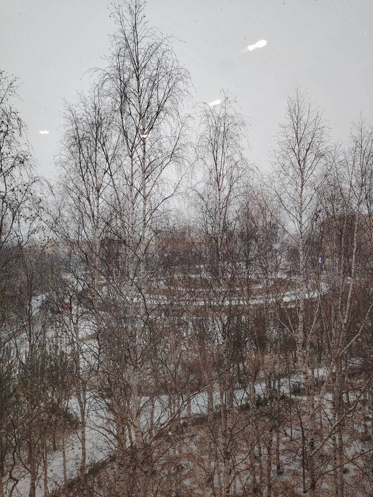 Photograph by Виталий Са