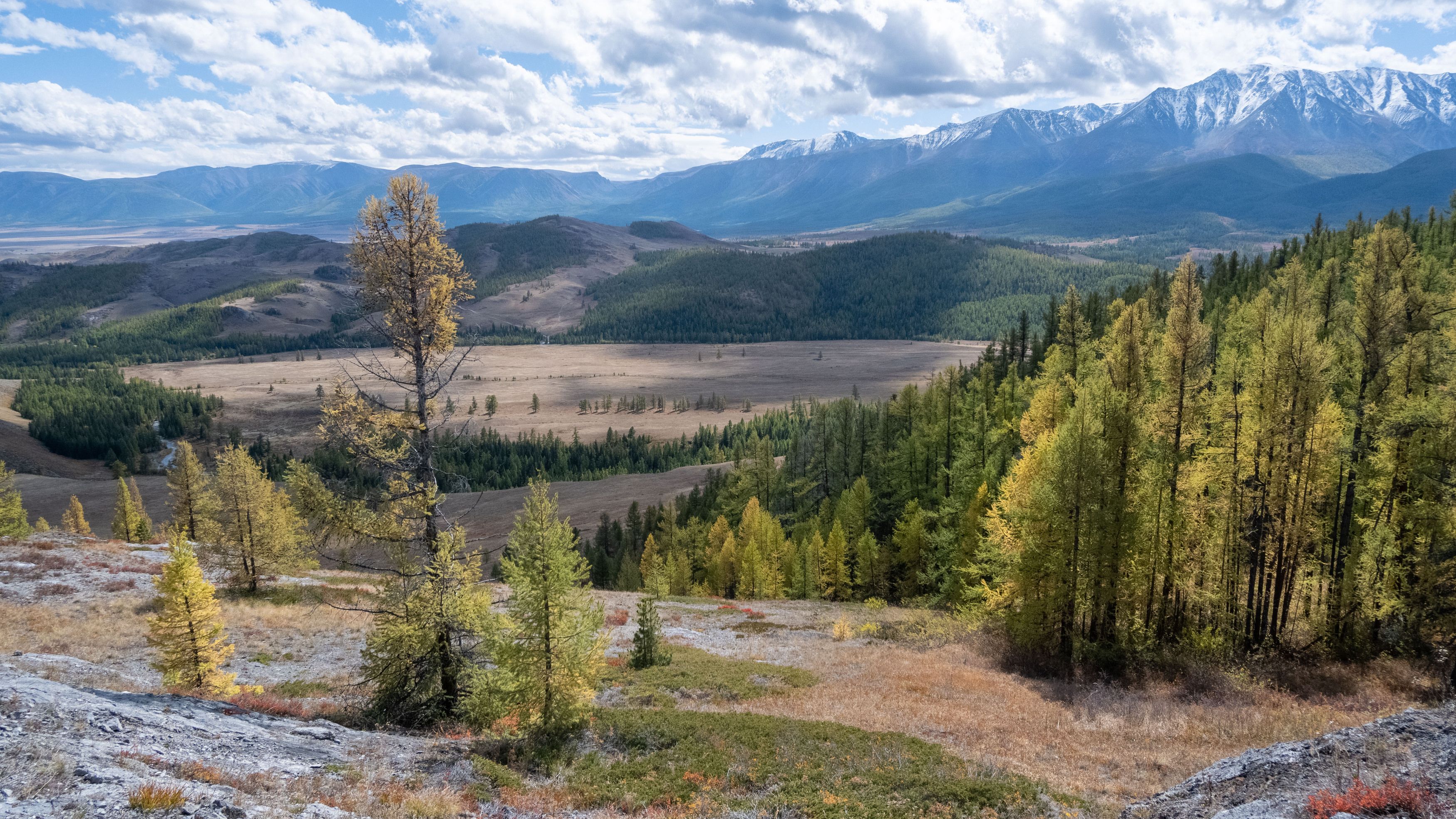 Photograph by Владимир Коровин