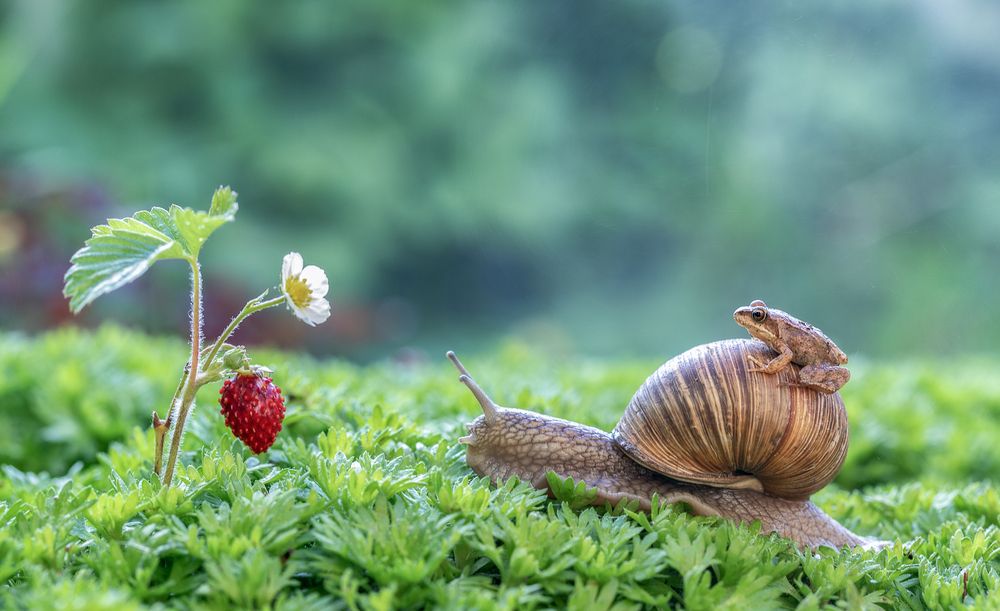 Photograph by Татьяна Феденкова