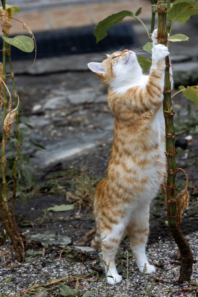 Photograph by Басыров Валерий