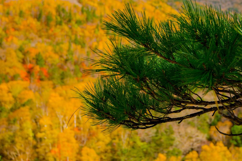 Photograph by Валерий Худынцев