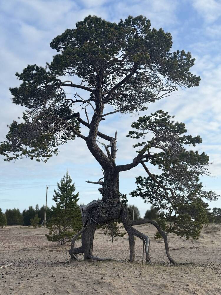 Photograph by Ольга Желтова