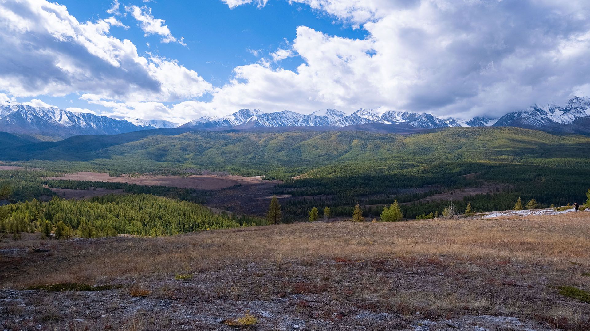 Photograph by Владимир Коровин