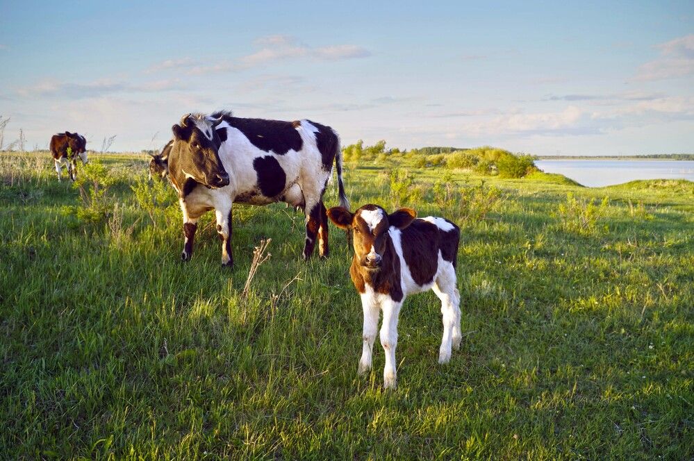 Photograph by Мишустина Татьяна