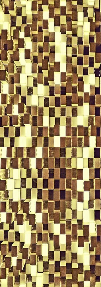 Photograph by Davoud Naeimi