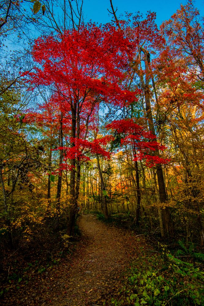 Photograph by Валерий Худынцев