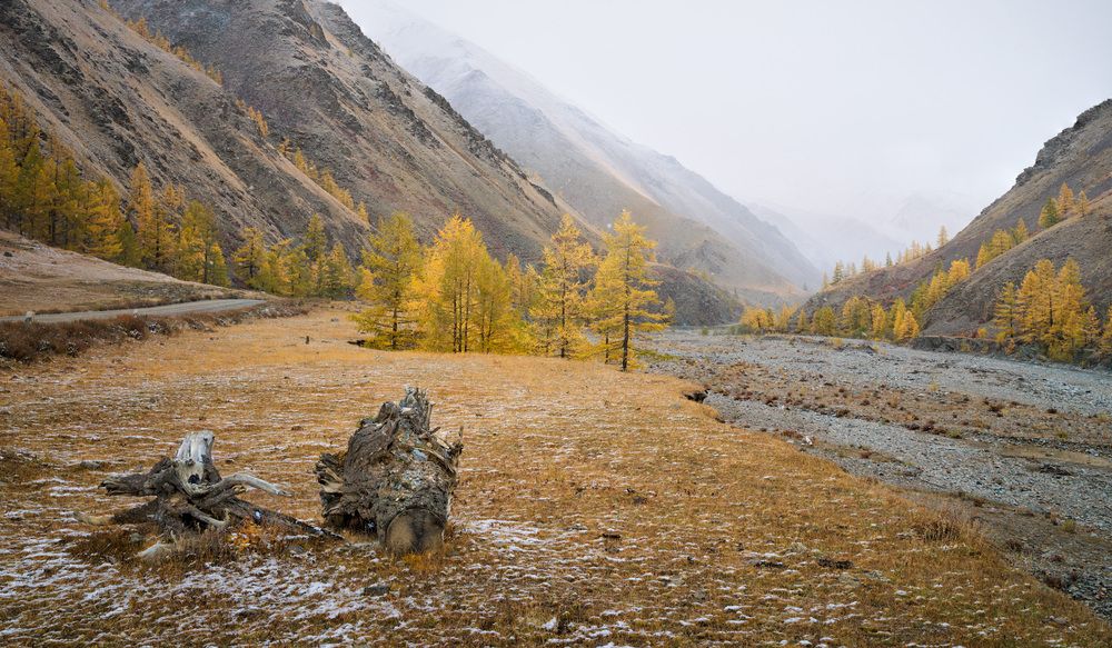 Photograph by Леонтьев Константин