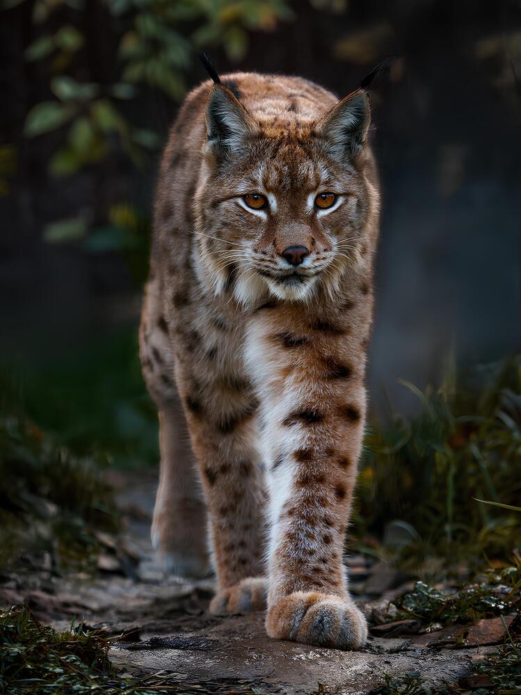 Photograph by Данил Шауба