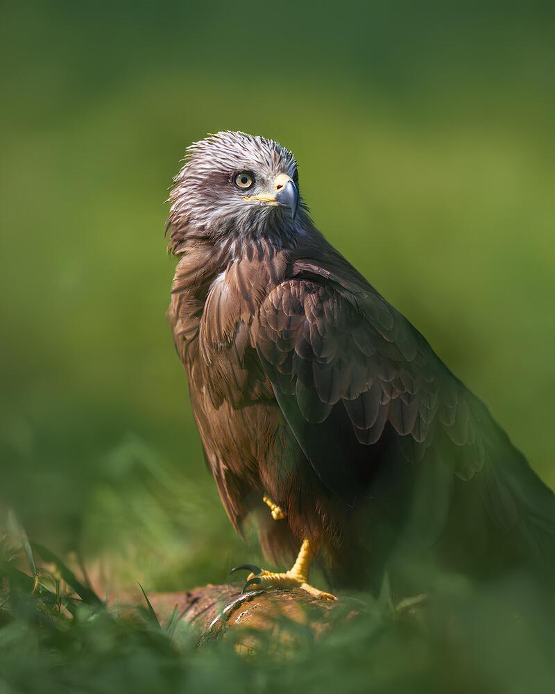 Photograph by Данил Шауба