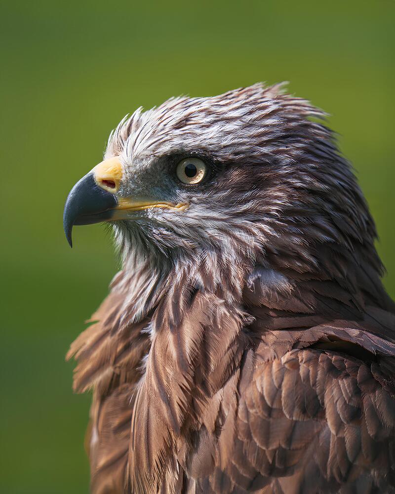 Photograph by Данил Шауба