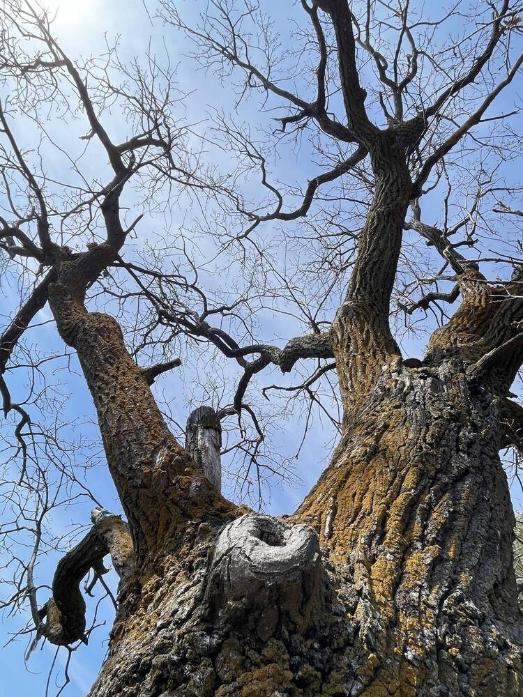 Photograph by Nadya Sterligova