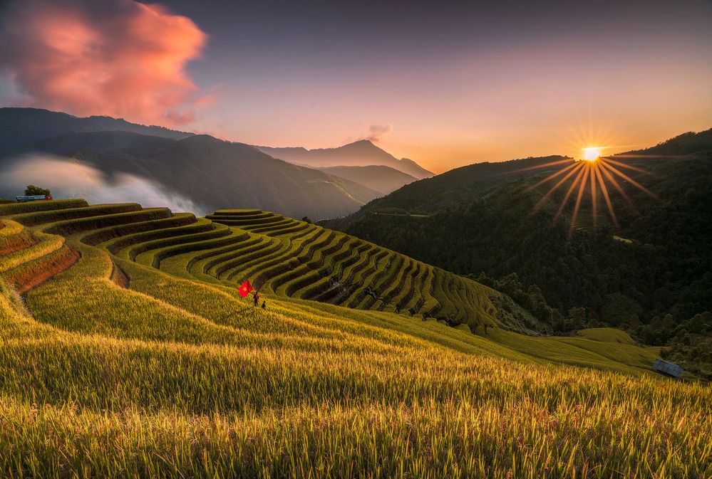 Photograph by Đạo Hoàng