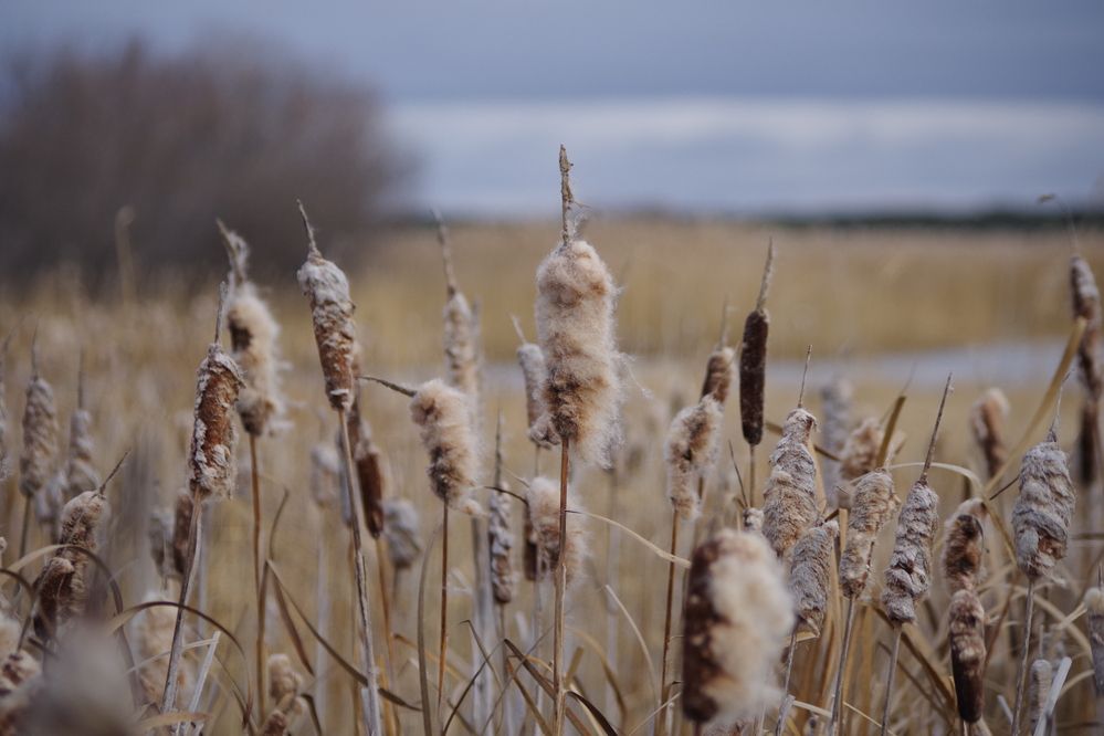 Photograph by Андрей Корытов