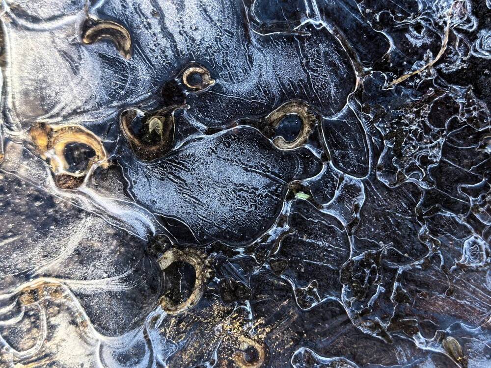 Photograph by Елена