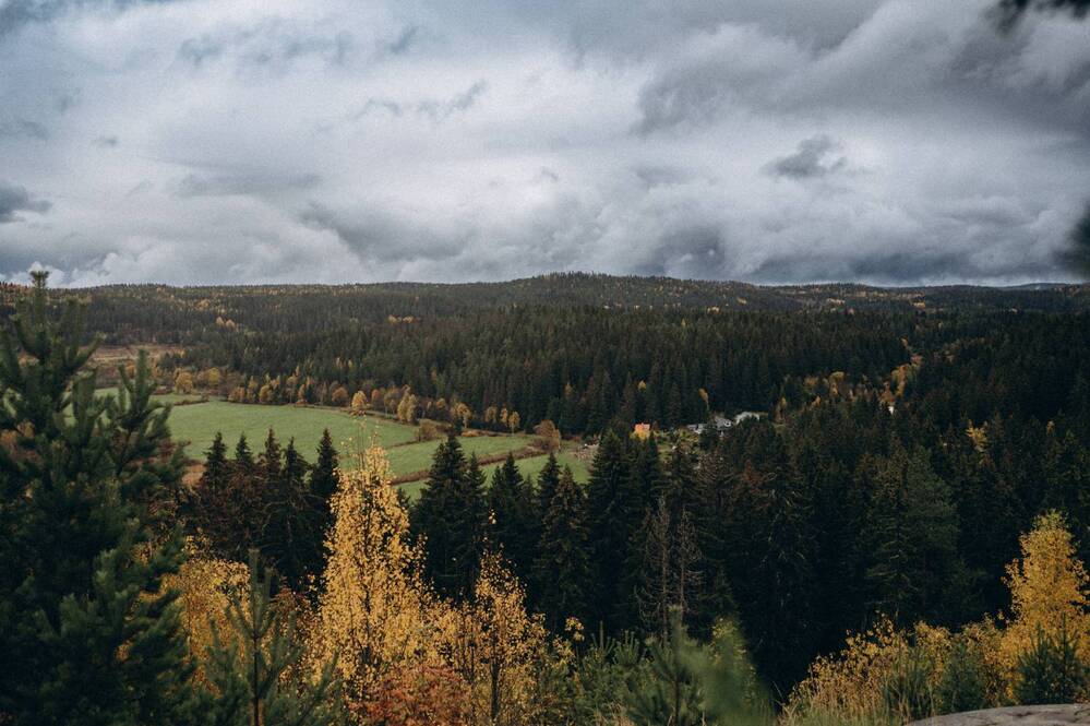 Photograph by Светлана Субботина