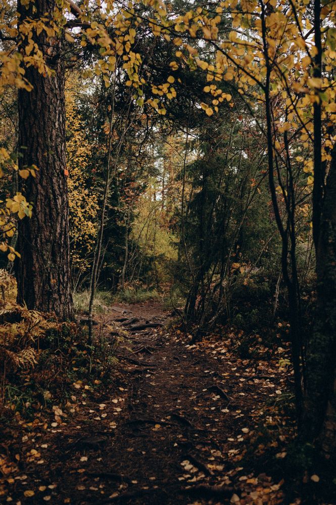 Photograph by Светлана Субботина