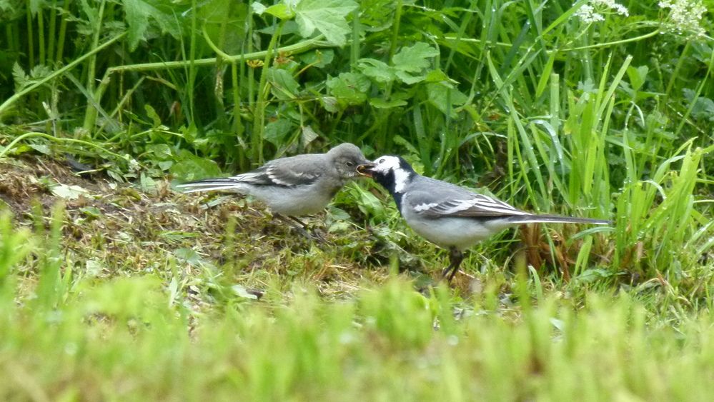 Photograph by Егор Чинарев