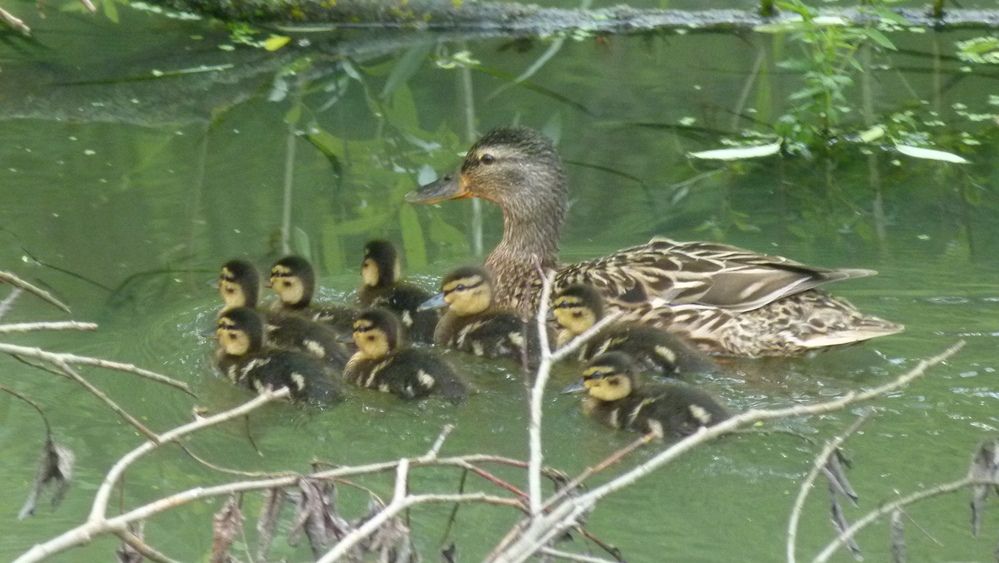 Photograph by Егор Чинарев