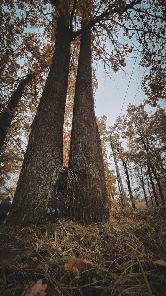 Photograph by Ольга Антонова