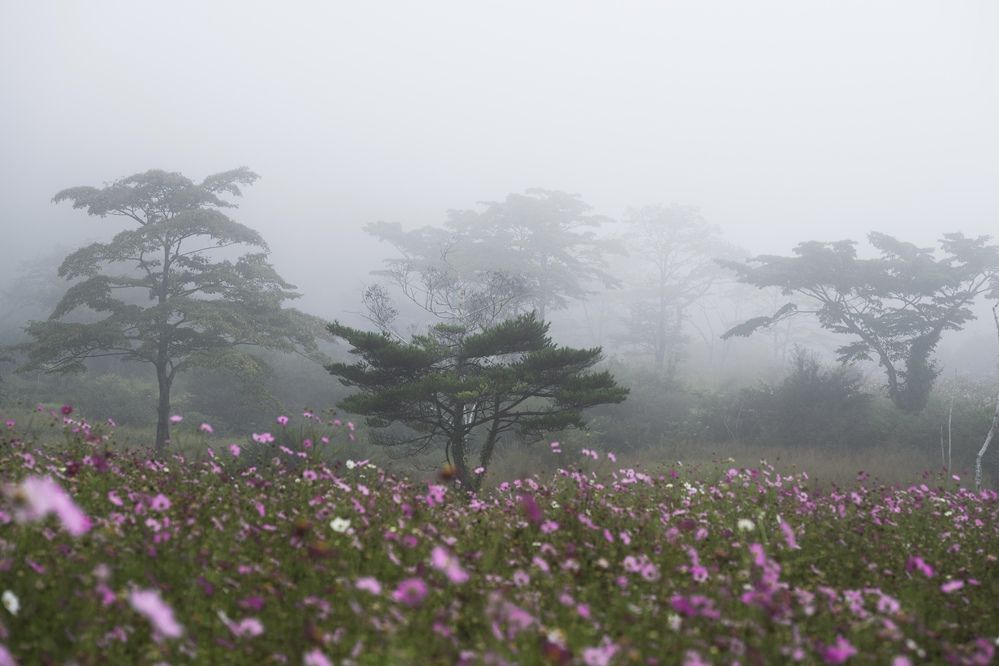 Фотография автора Kaneko Atsushi